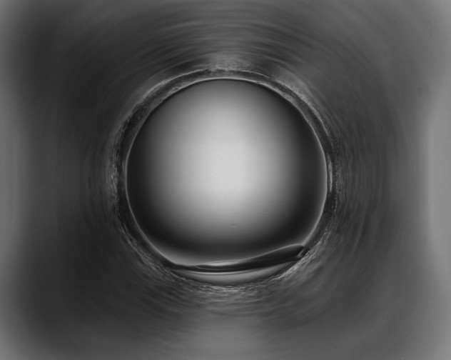 X0000088611115200705251215