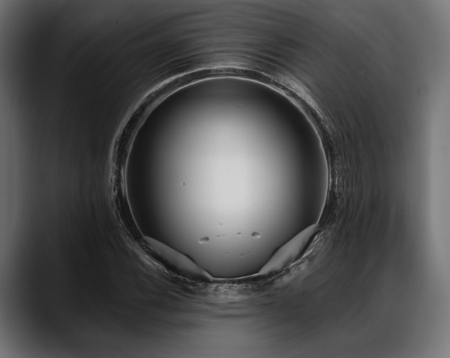 X0000088611116200705251215