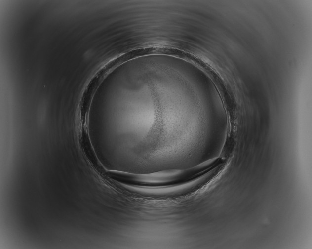 X0000088611117200705251215