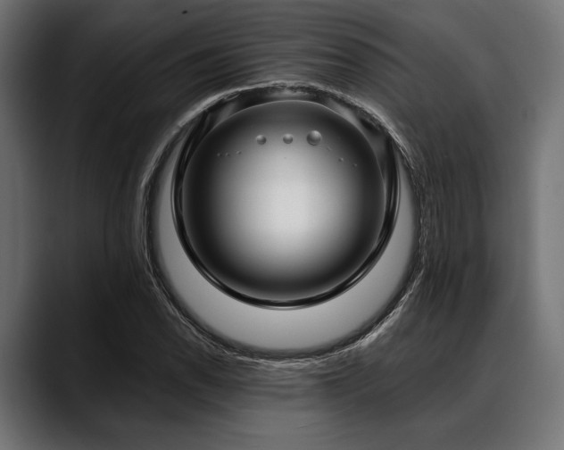 X0000088611118200705251215