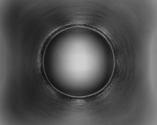 X0000088611119200705251215