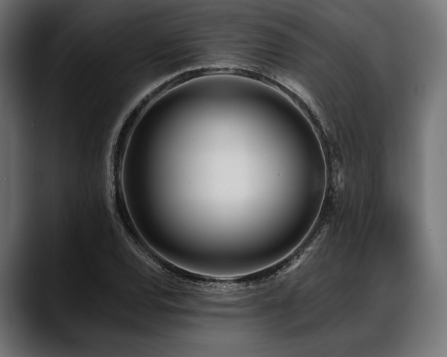 X0000088611120200705251215