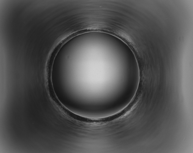 X0000088611122200705251215