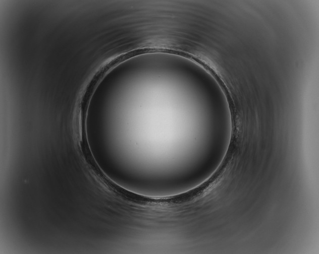 X0000088611123200705251215