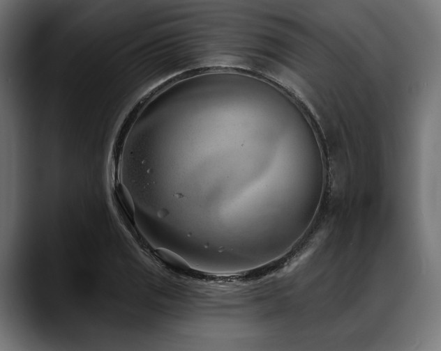 X0000088611125200705251215