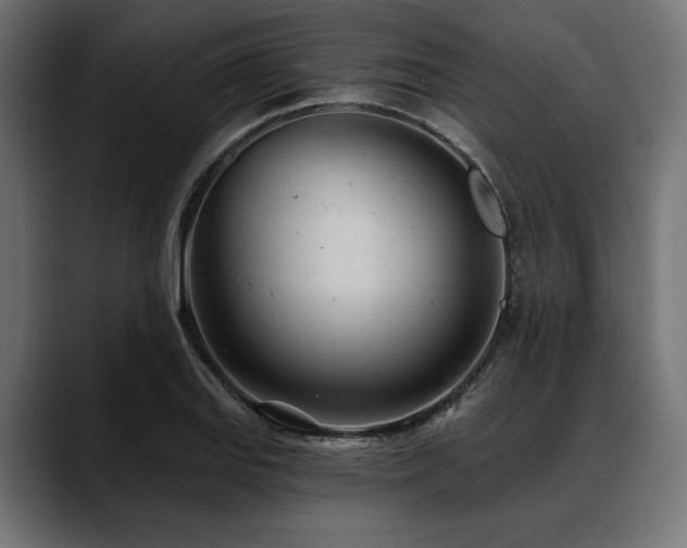 X0000088611127200705251215