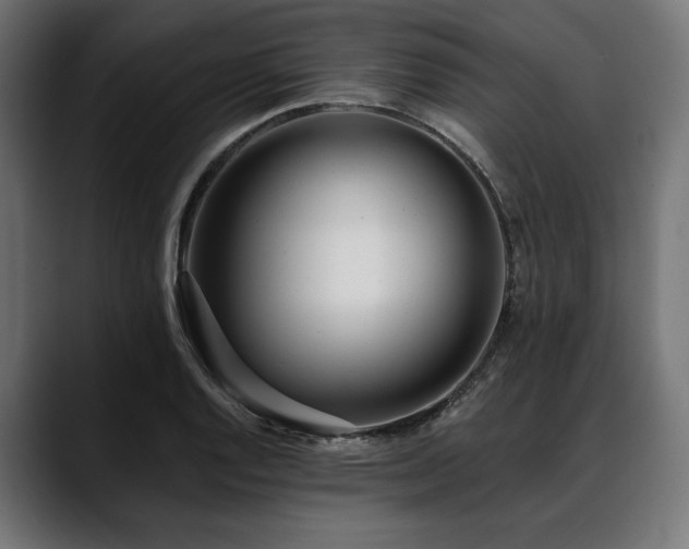 X0000088611128200705251215