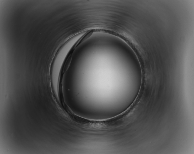 X0000088611129200705251215