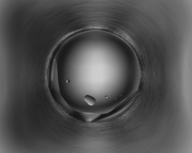 X0000088611132200705251215