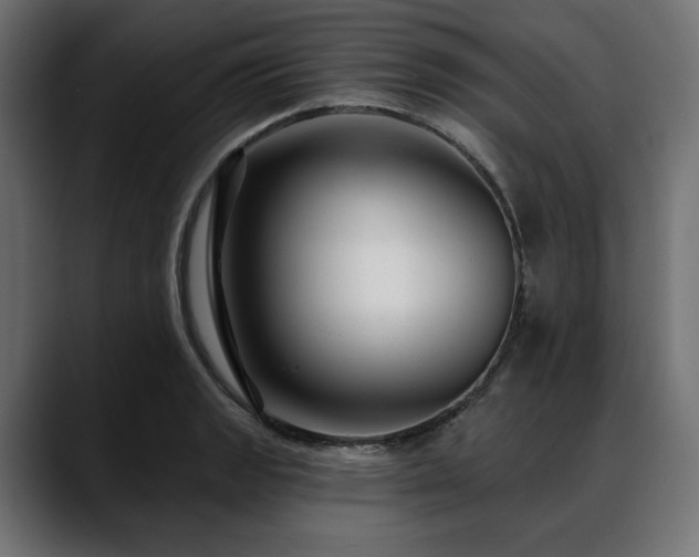 X0000088611133200705251215