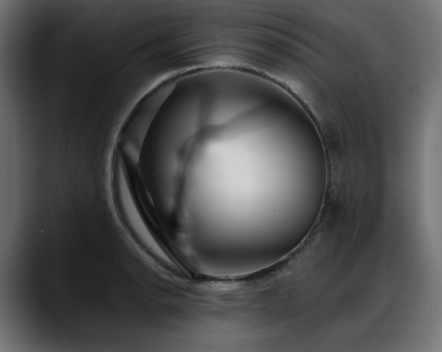 X0000088611134200705251215