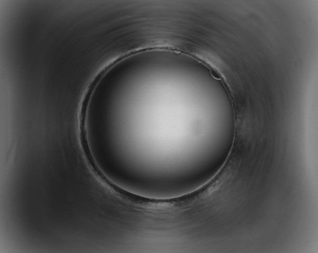 X0000088611135200705251215