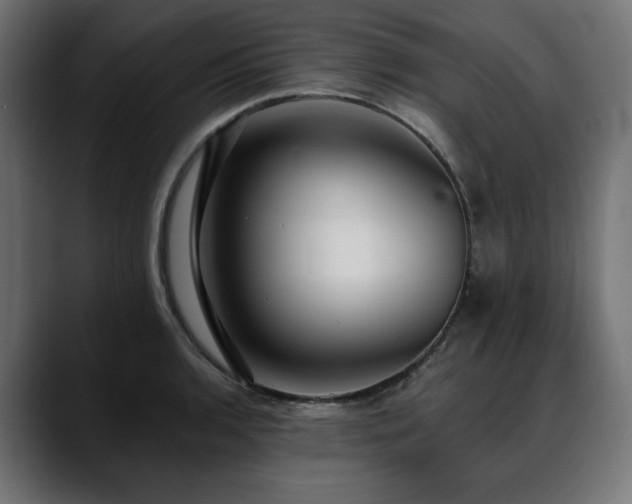 X0000088611136200705251215