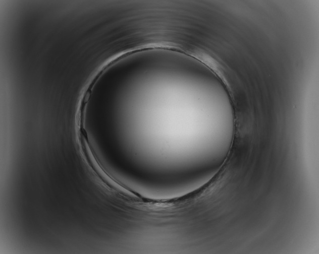 X0000088611140200705251215