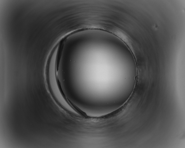 X0000088611141200705251215