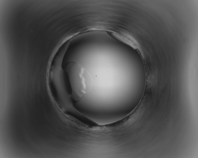 X0000088611146200705251215