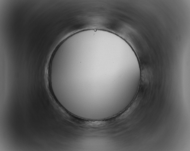 X0000088611150200705251216