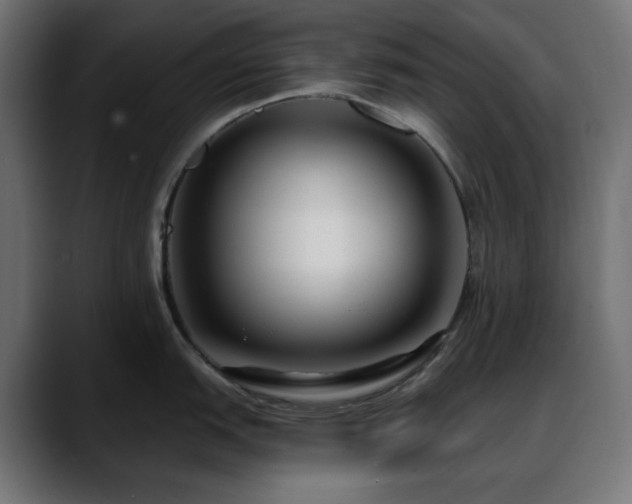 X0000088611151200705251216