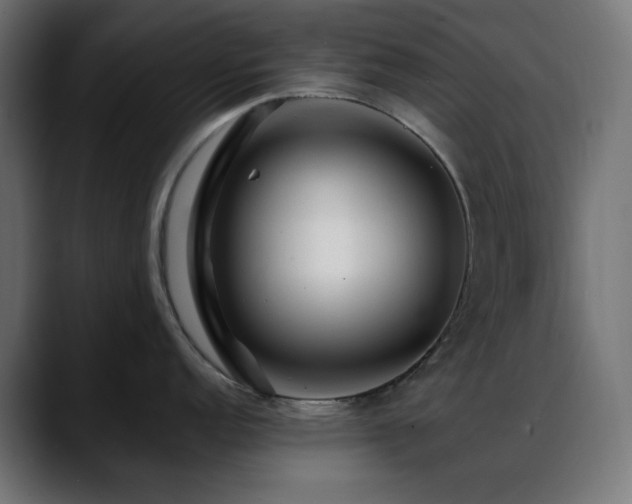 X0000088611152200705251216