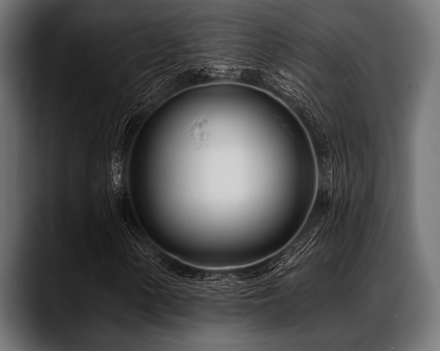 X0000088611154200705251215