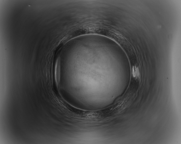 X0000088611155200705251215