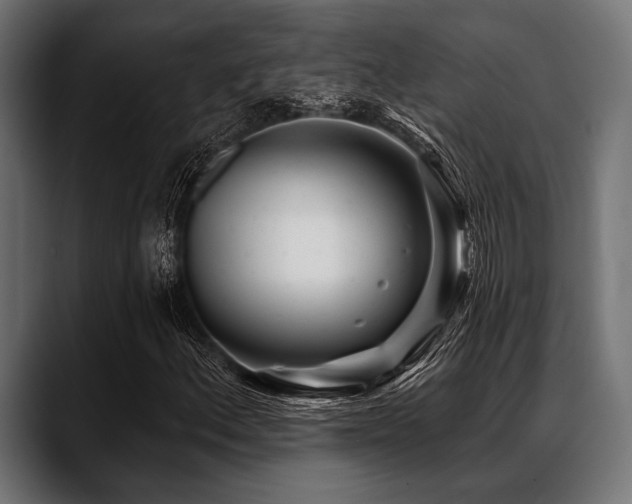 X0000088611156200705251215