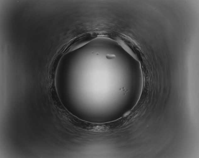 X0000088611160200705251215