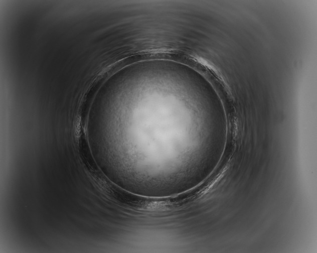 X0000088611161200705251215