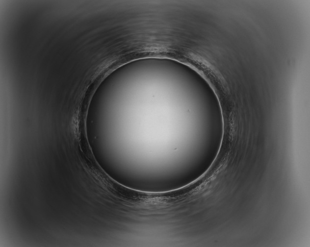 X0000088611162200705251215