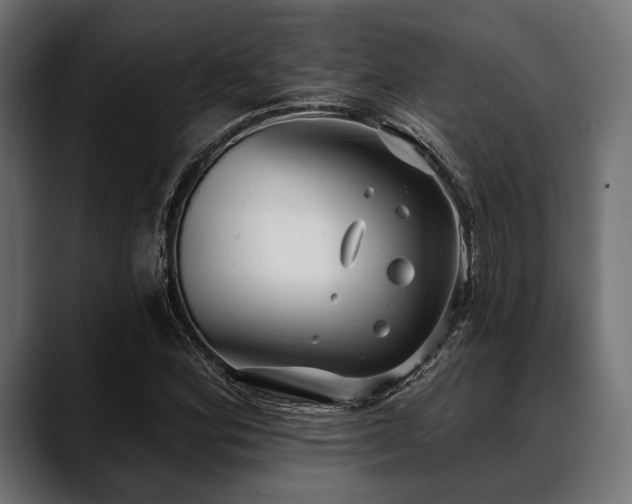 X0000088611164200705251215