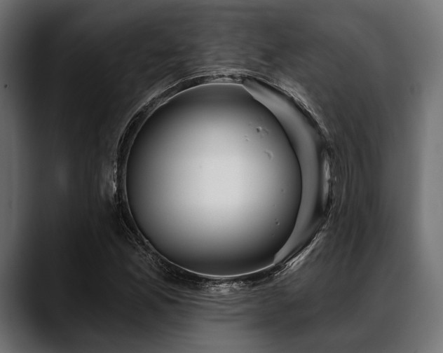 X0000088611165200705251215