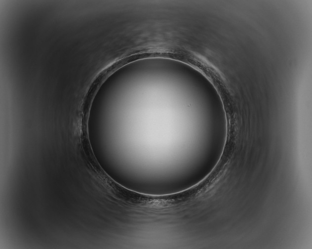 X0000088611166200705251215