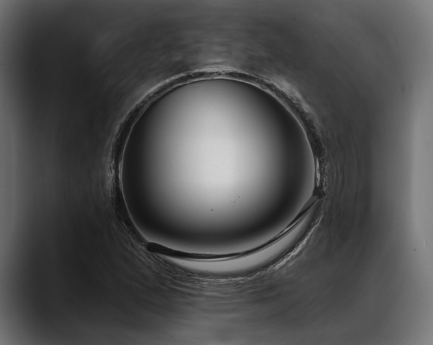 X0000088611167200705251215