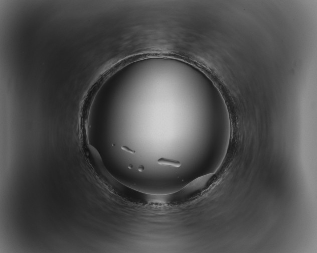 X0000088611168200705251215