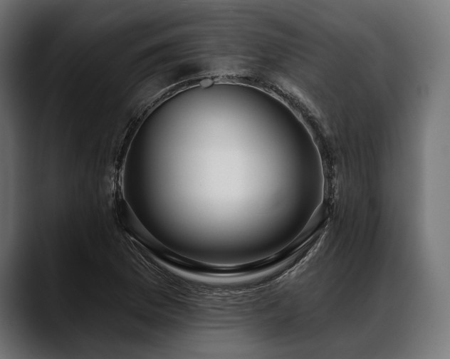 X0000088611169200705251215