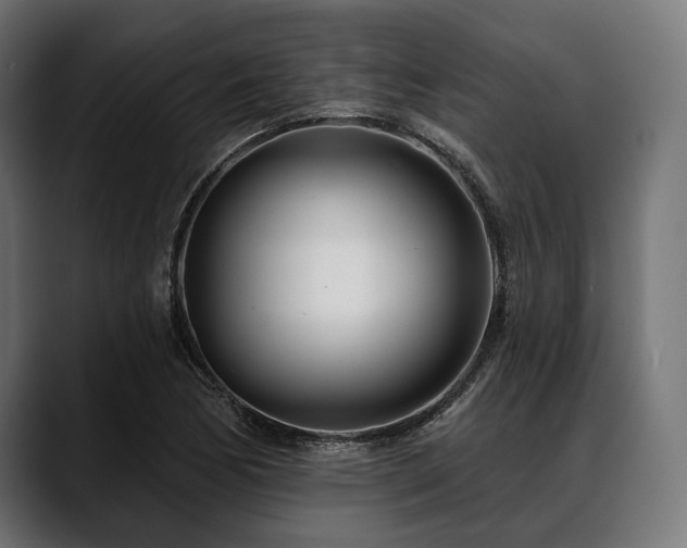 X0000088611170200705251215