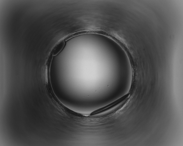 X0000088611171200705251215