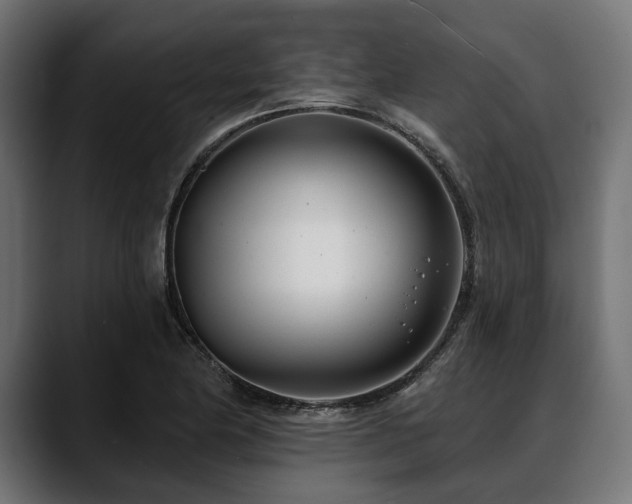 X0000088611174200705251215