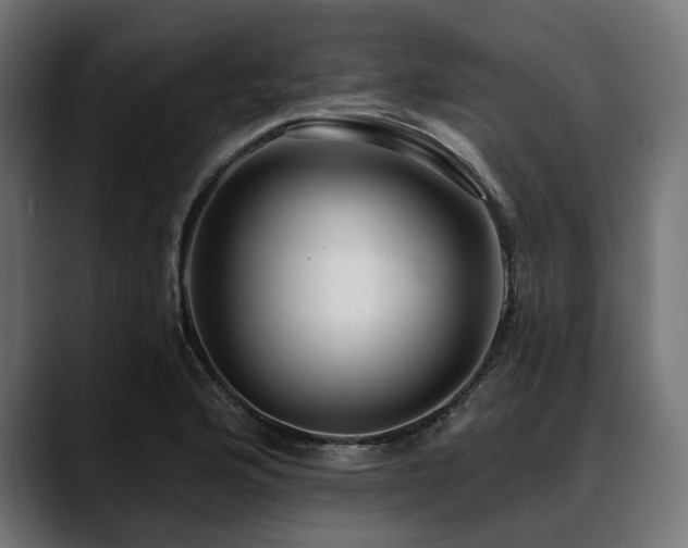 X0000088611176200705251215