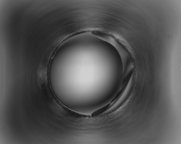 X0000088611177200705251215