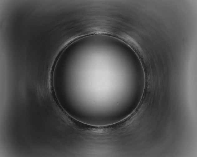 X0000088611182200705251215