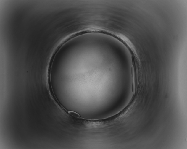 X0000088611183200705251215