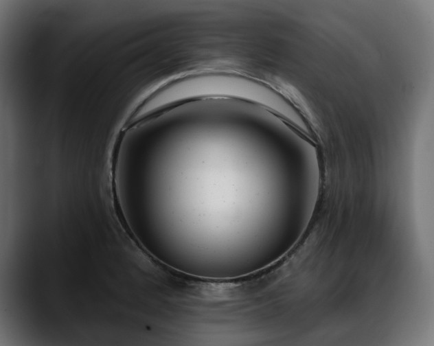 X0000088611184200705251215