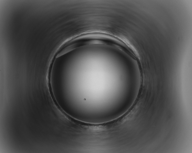 X0000088611189200705251214