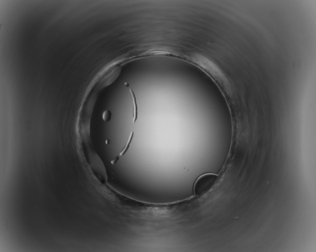 X0000088611190200705251214