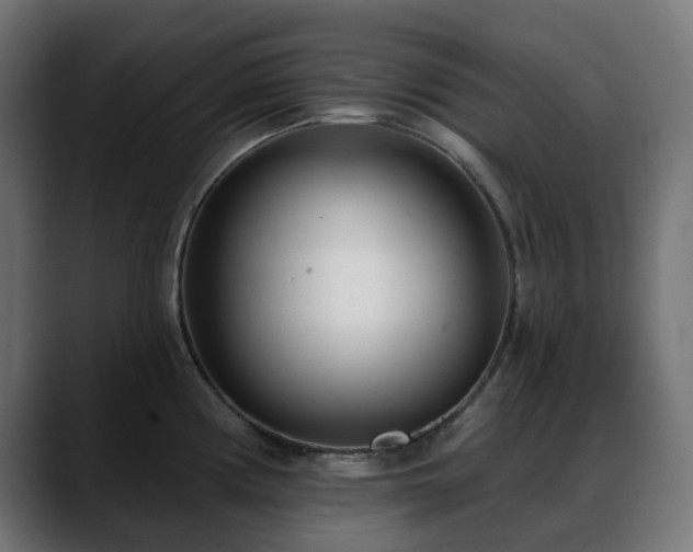 X0000088611194200705251214