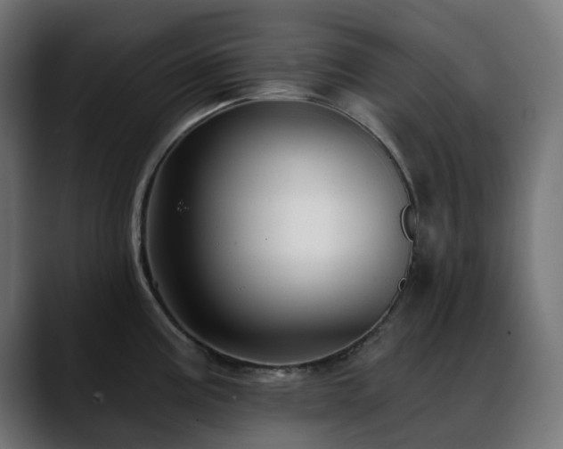 X0000088611195200705251214