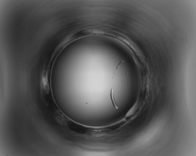 X0000088611198200705251214