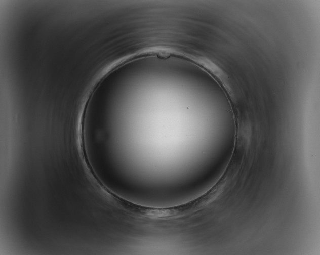 X0000088611199200705251214