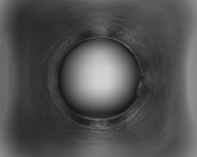 X0000088611201200705251214